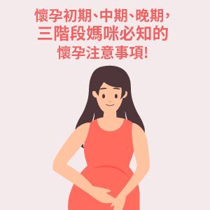 孕婦需要注意什麼|懷孕初期、中期、晚期，三階段媽咪必知的懷孕注意事。